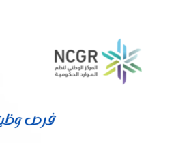 المركز الوطني لنظم الموارد الحكومية