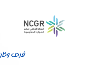 المركز الوطني لنظم الموارد الحكومية