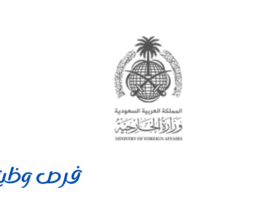 وزارة الخارجية