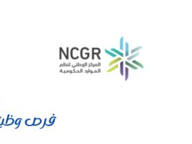 المركز الوطني لنظم الموارد الحكومية