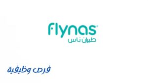 شركة طيران ناس