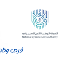 الهيئة الوطنية للأمن السيبراني