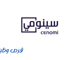 أكاديمية سينومي