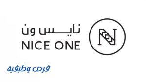 شركة نايس ون