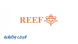 شركة ريف