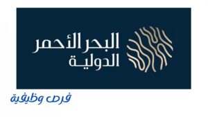 شركة البحر الأحمر الدولية