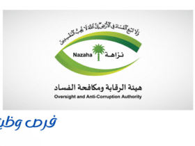 هيئة الرقابة ومكافحة الفساد