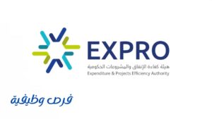 هيئة كفاءة الإنفاق