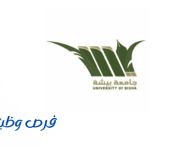 جامعة بيشة