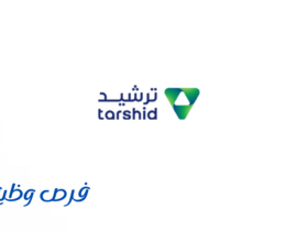 الشركة الوطنية لخدمات كفاءة الطاقة