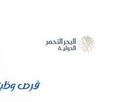 شركة البحر الأحمر الدولية