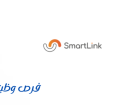 شركة سمارت لينك