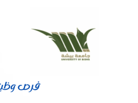 جامعة بيشة