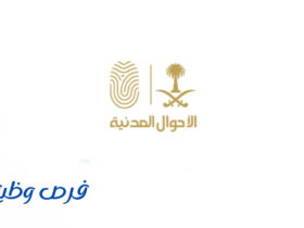 الأحوال المدنية