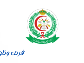 الخدمات الصحية بوزارة الدفاع