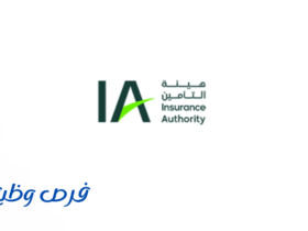 هيئة التأمين