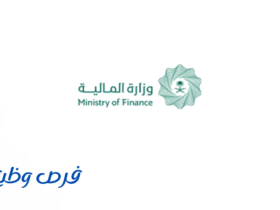 وزارة المالية
