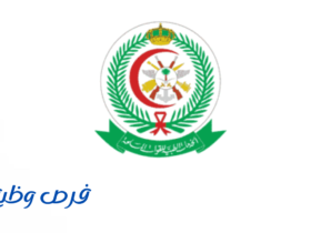 الخدمات الصحية بوزارة الدفاع