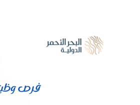 شركة البحر الأحمر الدولية