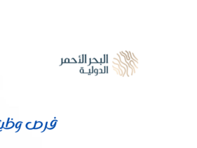 شركة البحر الأحمر الدولية