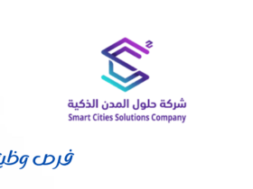 شركة حلول المدن الذكية