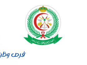 الخدمات الصحية بوزارة الدفاع