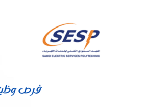معهد خدمات الكهرباء