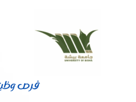 جامعة بيشة