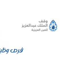 وقف الملك عبدالعزيز للعين العزيزية