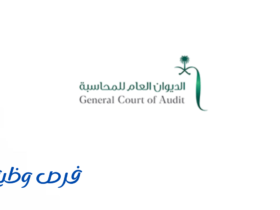 الديوان العام للمحاسبة