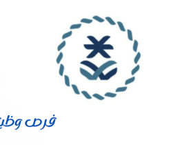 هيئة المحتوى المحلي