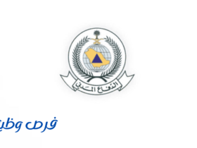 الدفاع المدني