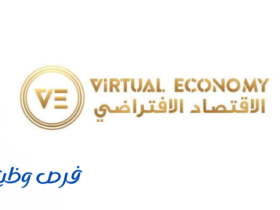 شركة الاقتصاد الافتراضي