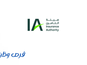 هيئة التأمين