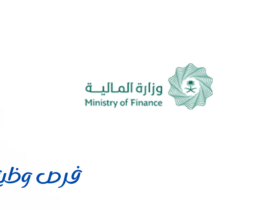 وزارة المالية