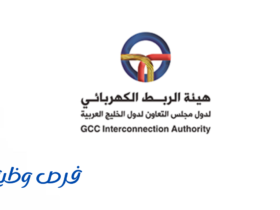 هيئة الربط الكهربائي