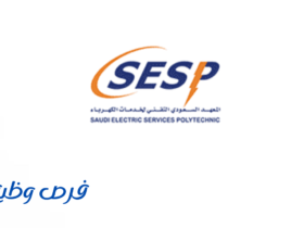 معهد خدمات الكهرباء