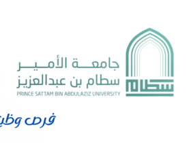 جامعة الامير سطام