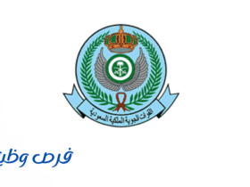 وزارة الدفاع
