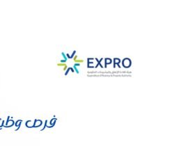 هيئة كفاءة الإنفاق والمشروعات الحكومية