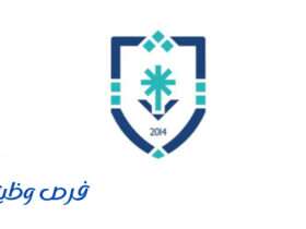 جامعة بيشة