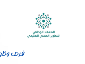 المعهد الوطني للتطوير المهني التعليمي