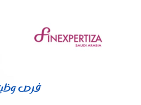 شركة فين اكسبرتيزا