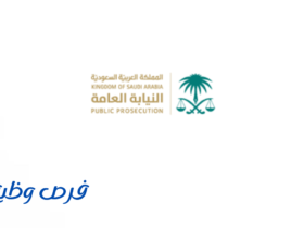 النيابة العامة