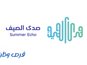 شركة صدى الصيف