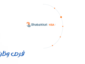 شركة شبكات الخلوية