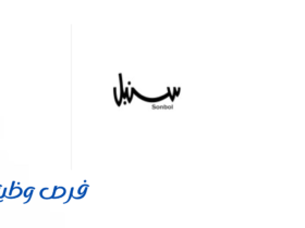 شركة دار سنبل للتجارة