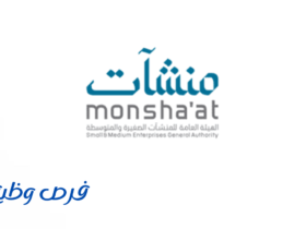 الهيئة العامة للمنشآت الصغيرة والمتوسطة