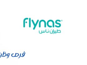 شركة طيران ناس