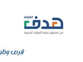 صندوق هدف